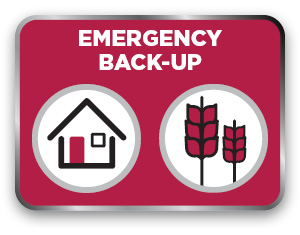 Emergency Back-Up