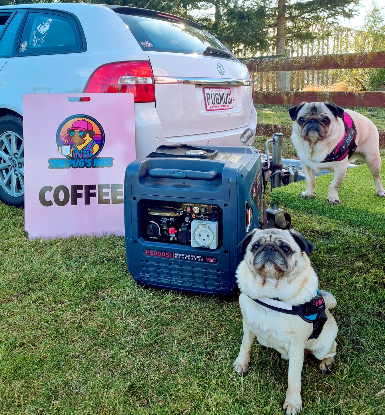Pugs Mug Coffee