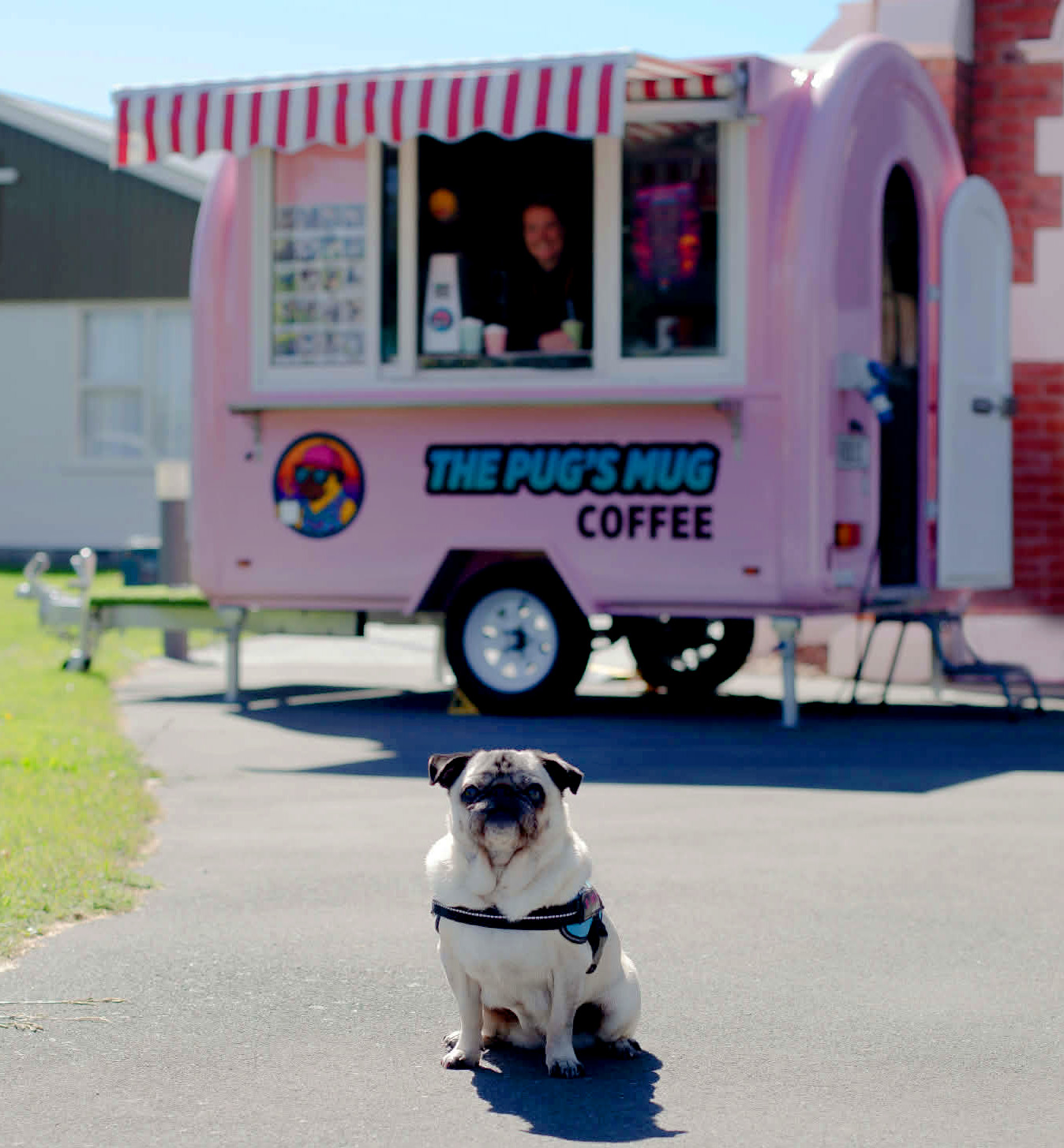 Pugs Mug Coffee